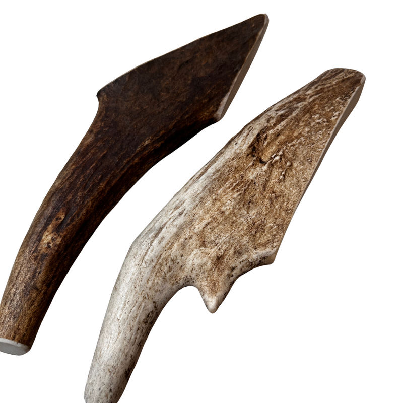 11" Large Partial Split Moose Tines (Medium-high Density/2 Pack)