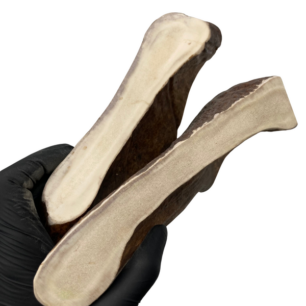 XXL Thick Moose Paddles (Strong Chewers/2 Pack)