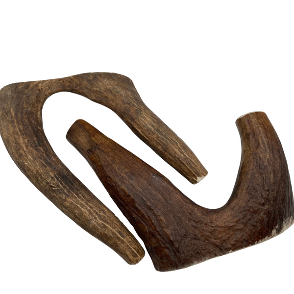 Moose Forks (Strong Chewers/2 Pack)