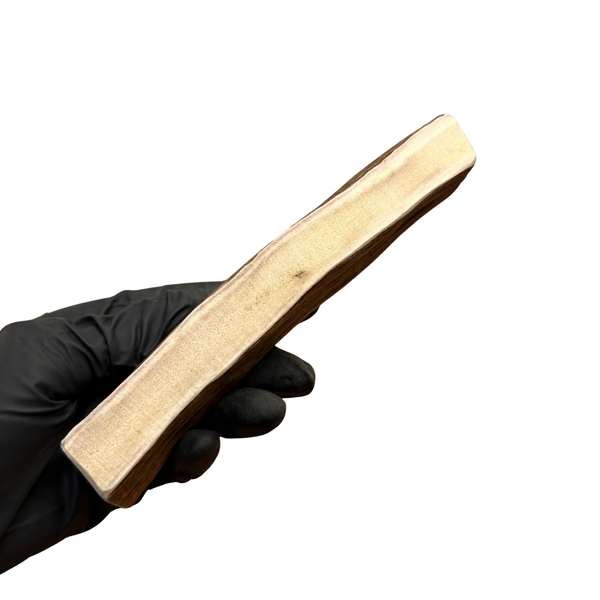 Thick Moose Paddle (Medium-high Density)
