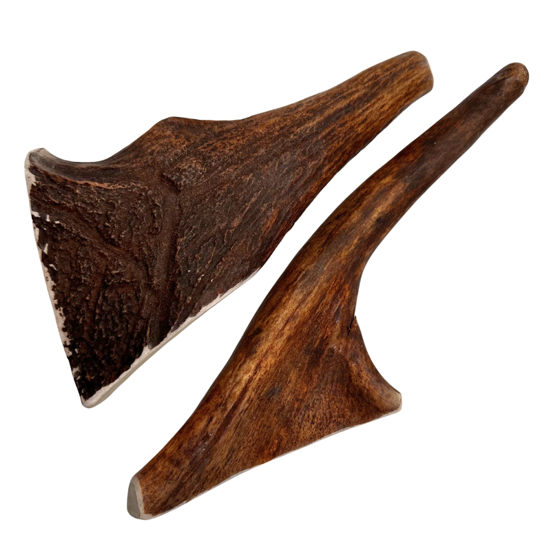 Moose Tines (Medium-high Density/2 Pack)