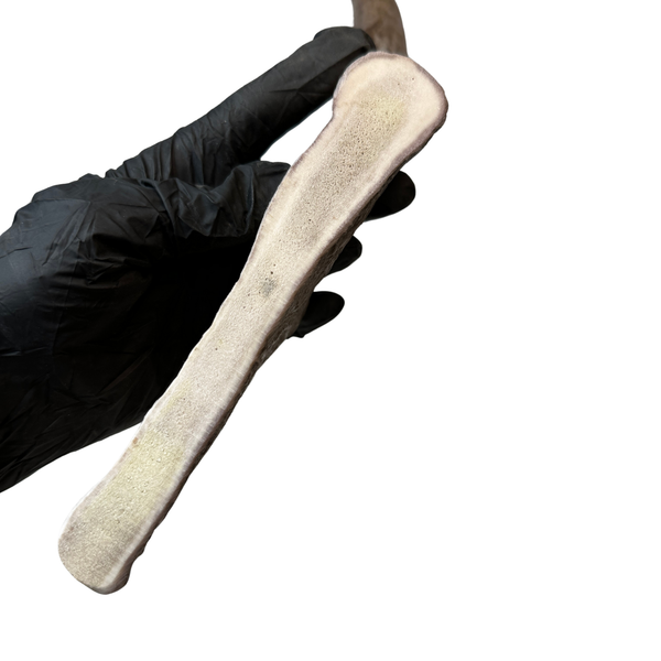 12" Moose Paddle (Medium-high Density)