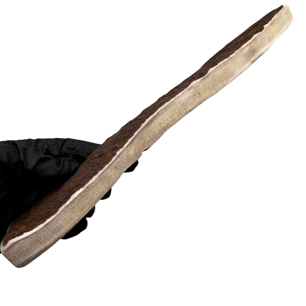 9.5" Moose Paddle (Exposed Marrow 4 Sides/Medium Density)