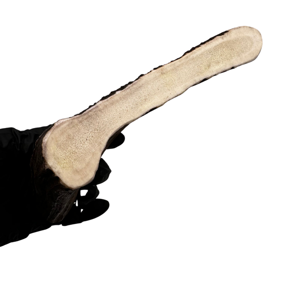 Moose Paddle (Medium-high Density)