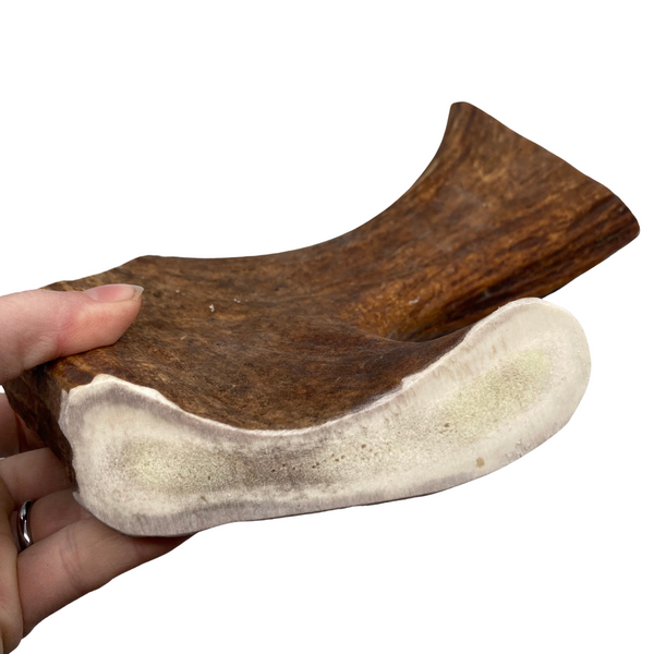 XL Thick Moose Chunk (Strong Chewers)