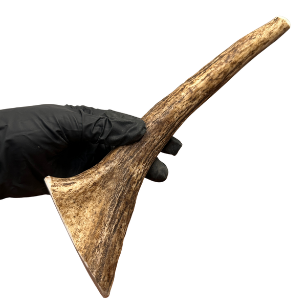 9.75" Moose Tine (Strong Chewers)