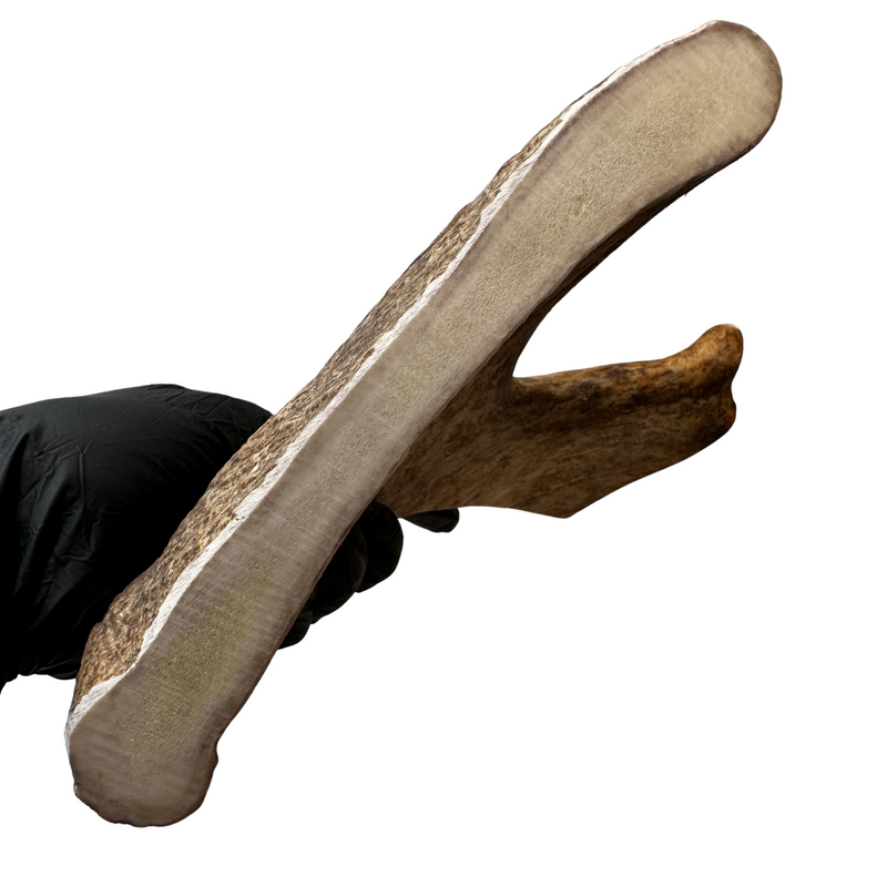 Large Moose Paddle (Medium-high Density)