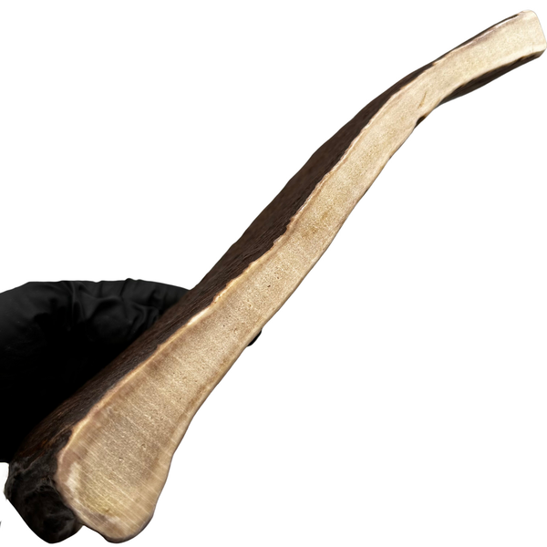 XL Moose Paddle (Medium Density)