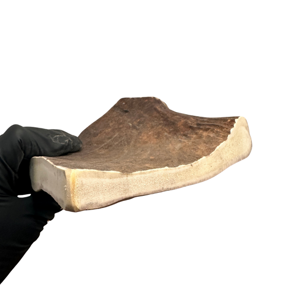 Large Moose Chunk (Medium-high Density)