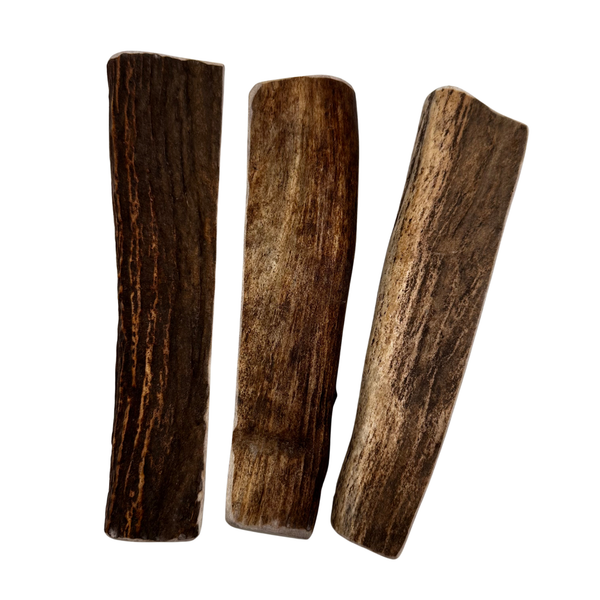 Moose Paddles (Medium density/3 Pack)