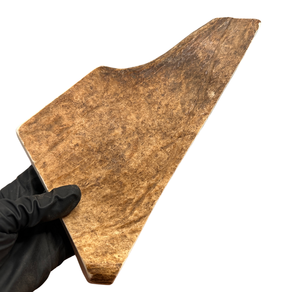 XL Moose Paddle (Medium-high density)