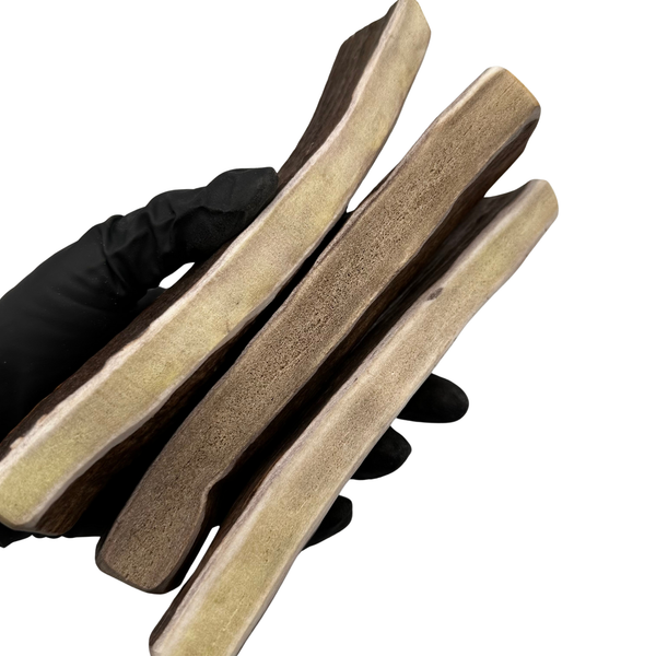 Moose Paddles (Medium density/3 Pack)