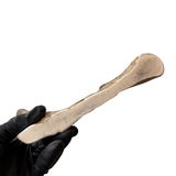 Larger Moose End (Medium Density)