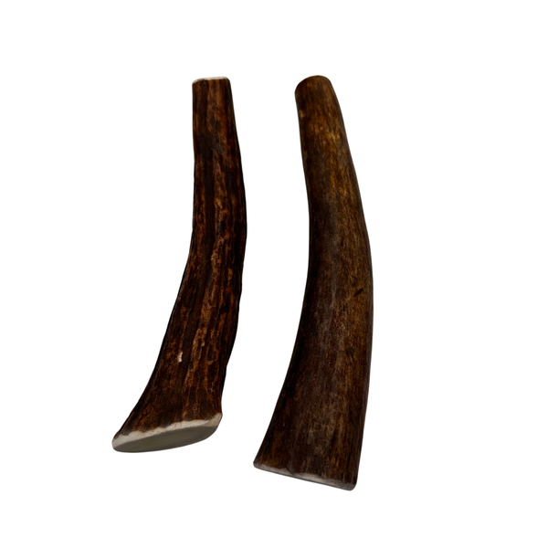 6" Moose Tines (Strong Chewers/2 Pack)