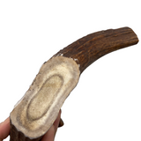 XL Thick Moose Chunk (Strong Chewers)