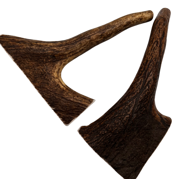 10" Moose Tines (Medium-high Density/2 Pack)