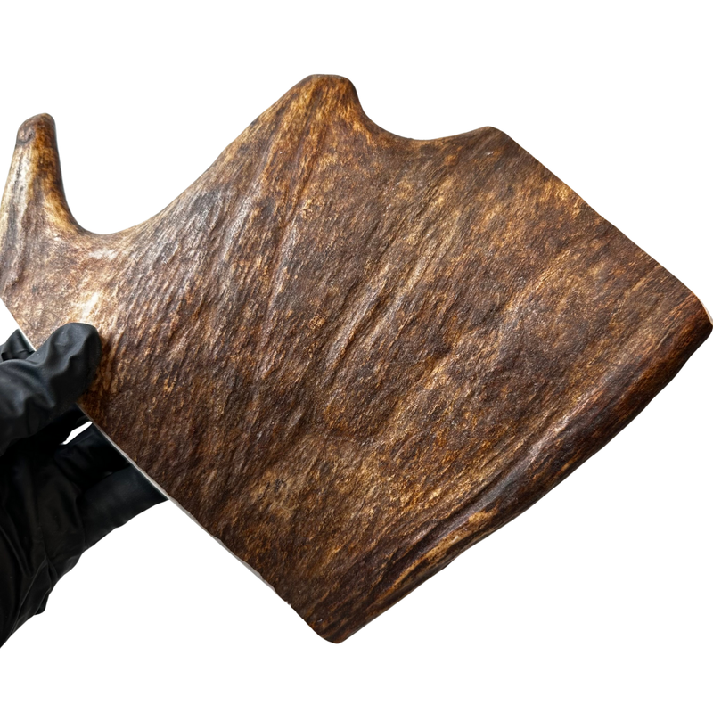 Large Moose Paddle (Medium density)