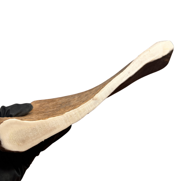 XL Moose Paddle (Medium-high density)