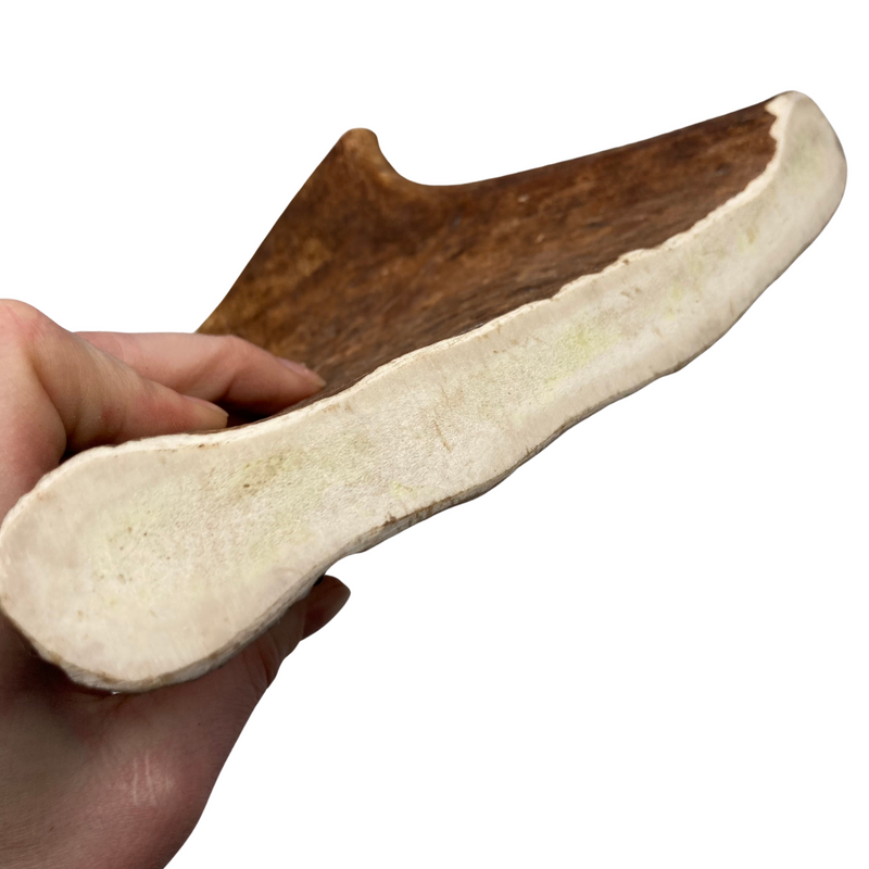 XL Thick Moose Paddle (Strong Chewers)