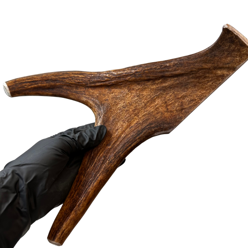 12" XL Moose Claw (Medium-high density)