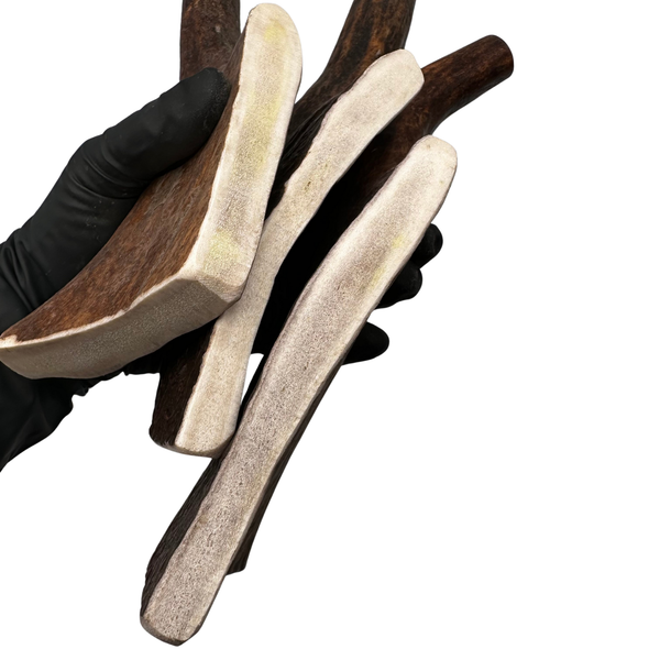 Moose Paddles + Tines (Medium-high Density/2 Pack)