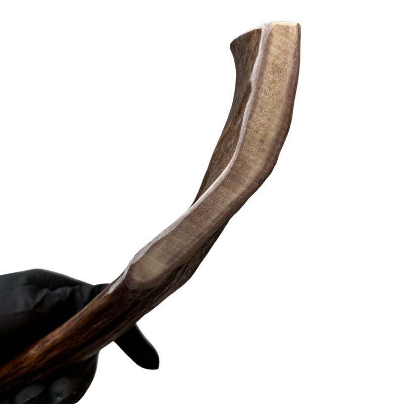 12" XL Moose Claw (Medium-high density)