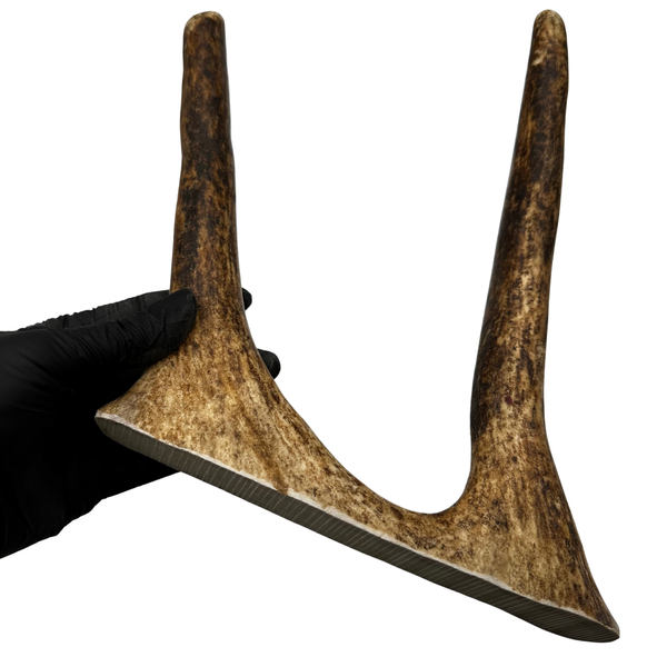 10" Moose Paddle + Tines (Strong Chewers)