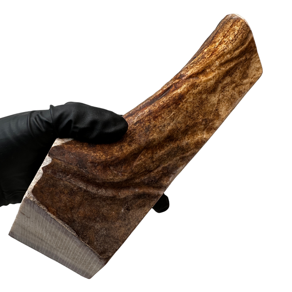 Extra Thick Moose Chunk (Strong Chewers)