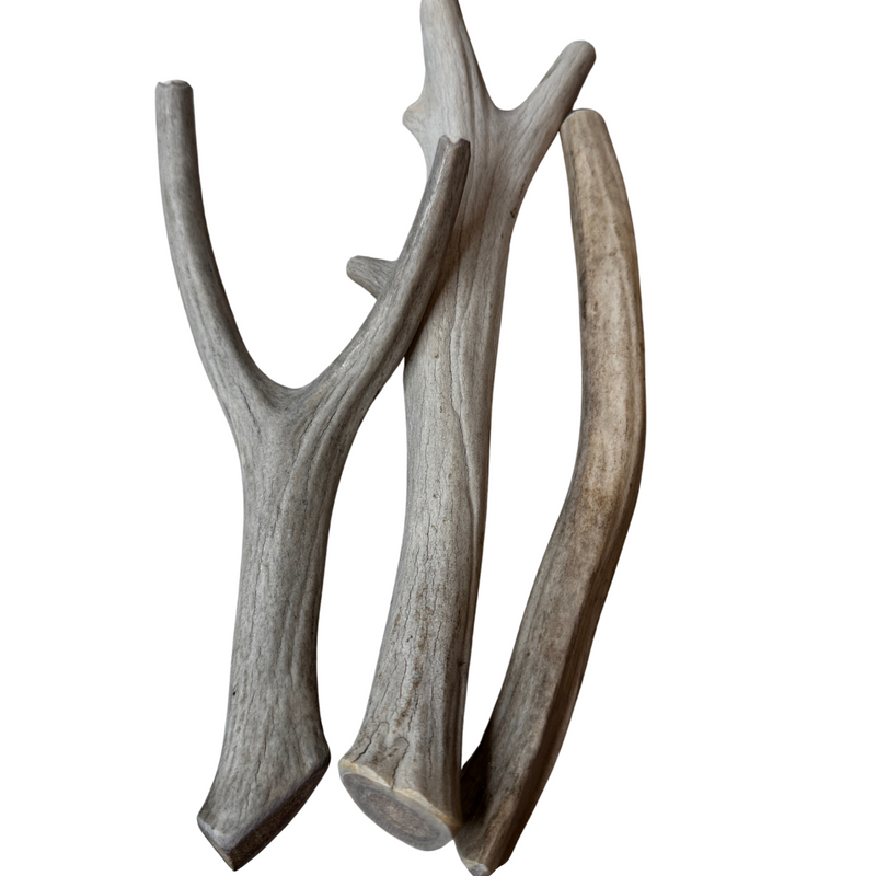 +9" Deer Tine Bundle (3 pack)