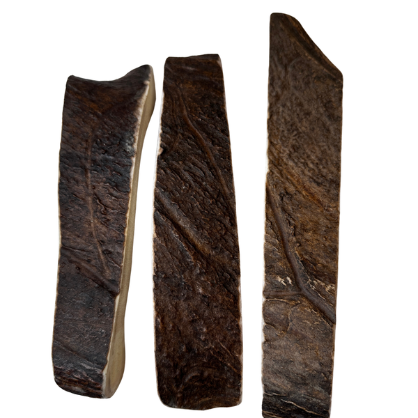 Moose Paddles (Medium-high Density/3 Pack)