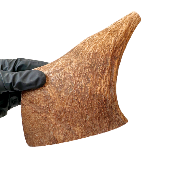 Moose Paddle (Medium-high Density)