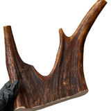 Large Moose Claw (Stronger Chewers)