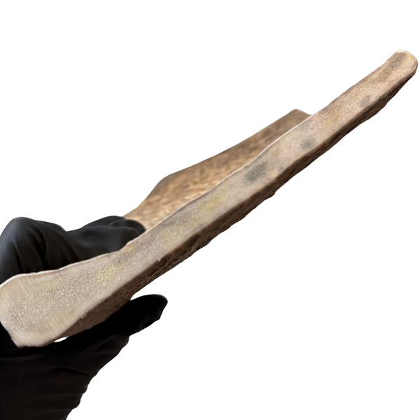 XL Moose Paddle (Medium Density)