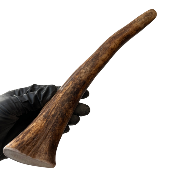 10" Moose Tine (Stronger Chewers)