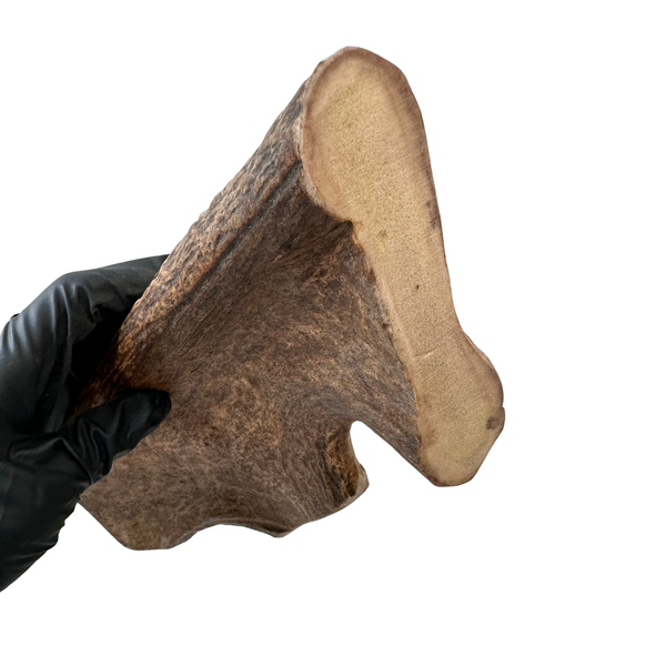 12" Monster Thick Moose Chunk (Strong Chewers)