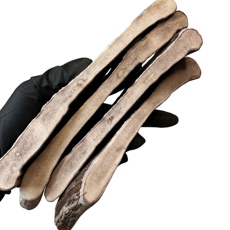 7" Moose Slices (Medium Density/4 Pack)