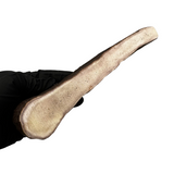 Thick Moose Paddle (Medium Density)