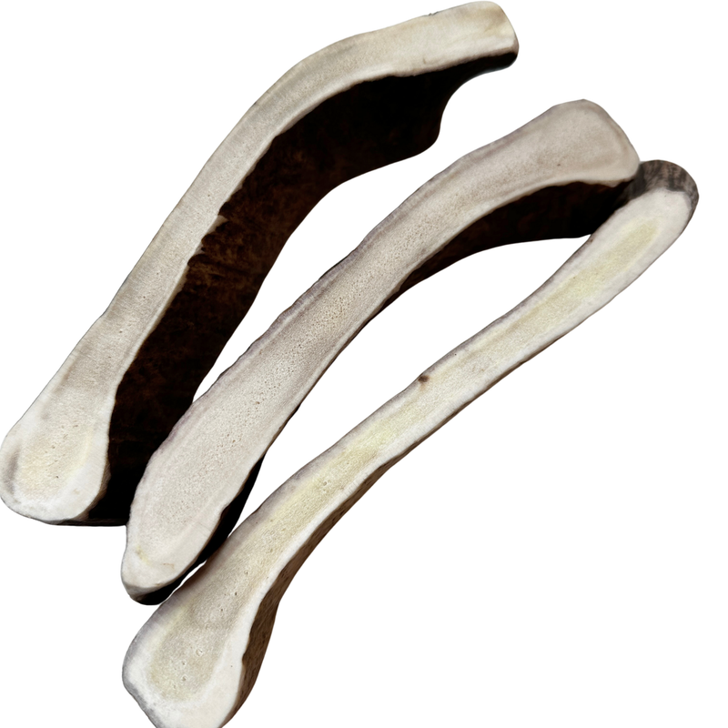 Moose Paddles (Medium-high Density/3 Pack)