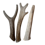 +9" Deer Tine Bundle (3 pack)