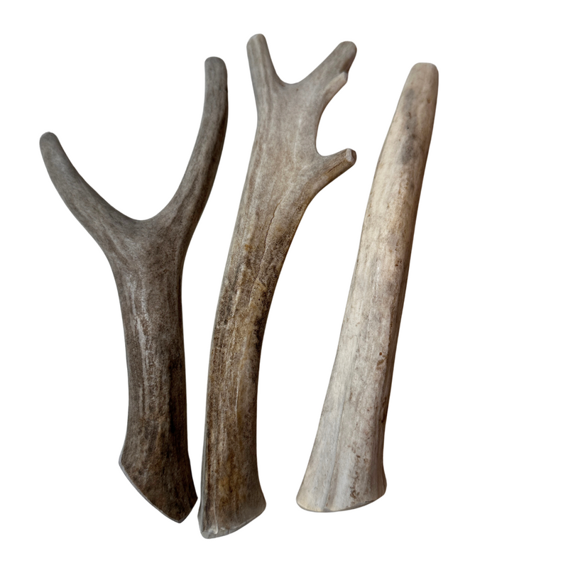 +9" Deer Tine Bundle (3 pack)