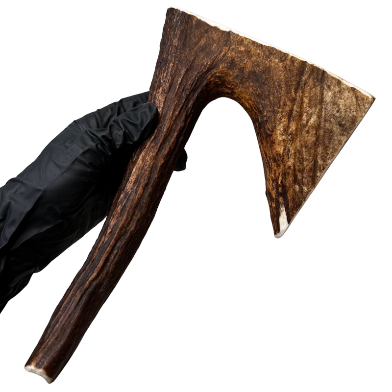 11" Large Moose Paddle + Tine (Medium-high density)