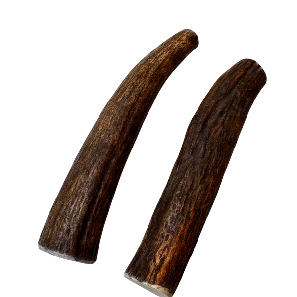 Moose Tines (Strong Chewers/2 Pack)