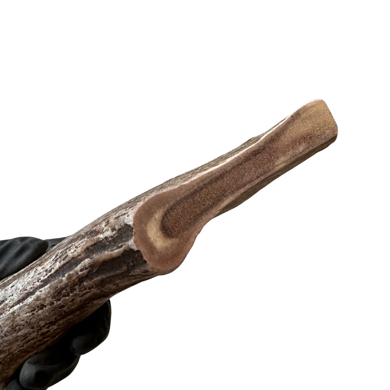 Large Moose Base (Strong Chewers)