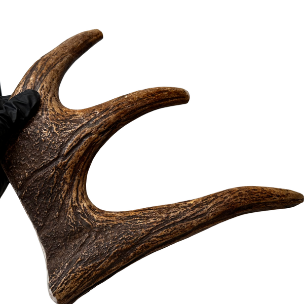 11" XL Moose Claw (Strong Chewers)