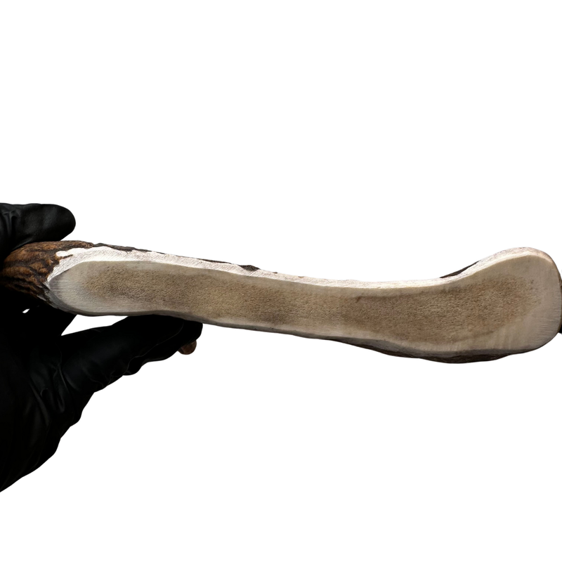 11" XL Moose Claw (Strong Chewers)