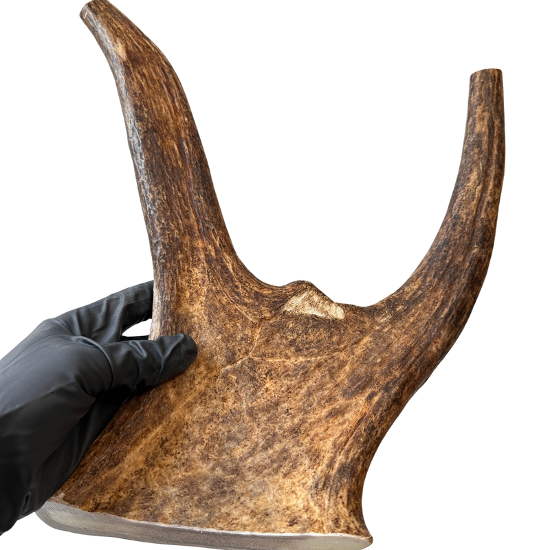 12.5" XL Moose Fork