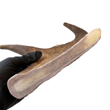 12.5" XL Moose Fork