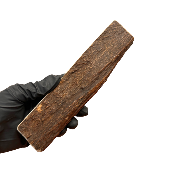 Moose Paddle (Medium-high Density)