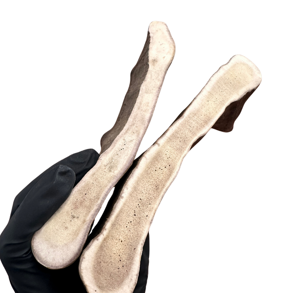 Larger Thick Moose Ends (Medium Density/2 Pack)