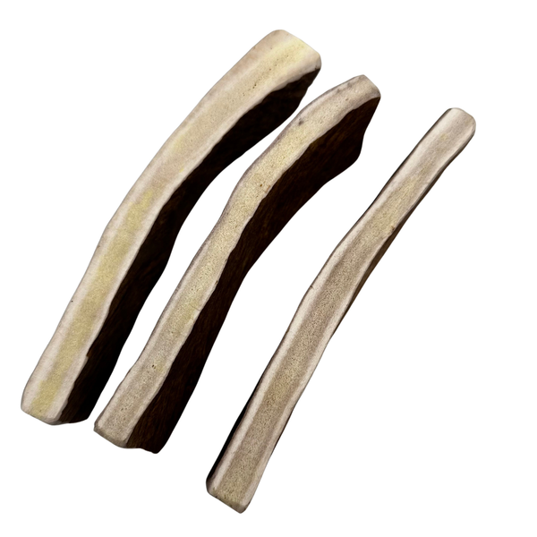 Moose Paddles (Medium Density/4 sides exposed marrow/3 Pack)